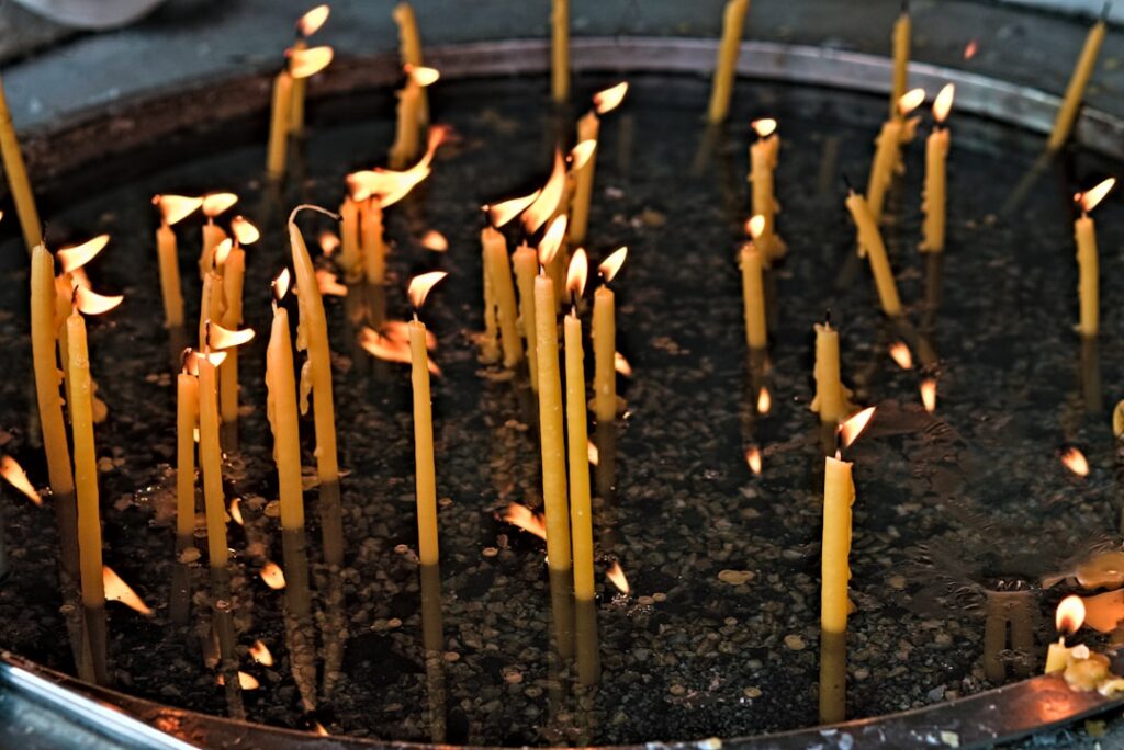 Avontuur dichtbij de mooiste wandelroutes in Nederland