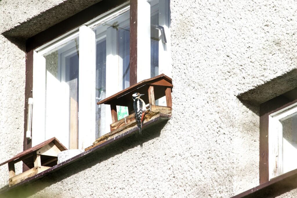 Hoe ik mijn kleine balkon omtoverde tot een groene oase